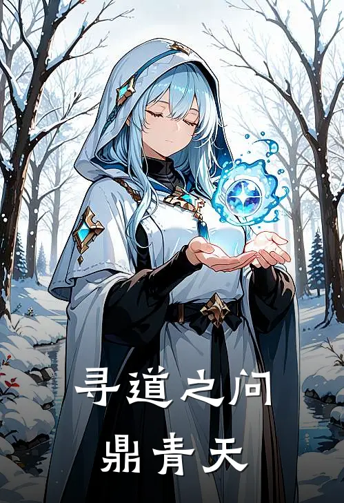 寻道之问鼎青天